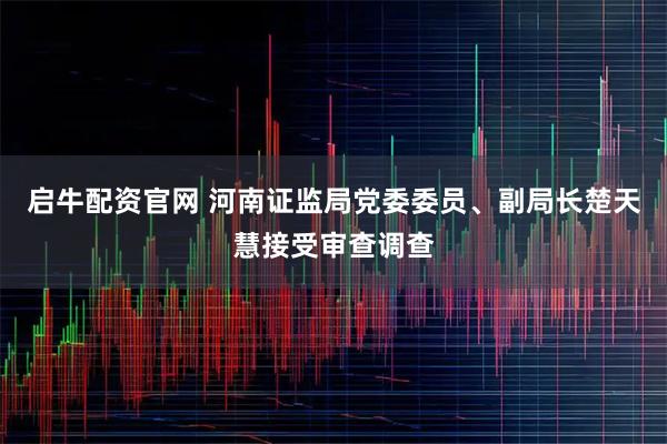 启牛配资官网 河南证监局党委委员、副局长楚天慧接受审查调查